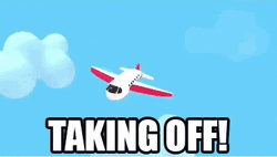 Snakes On A Plane Taking Off GIF