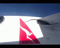 Snakes On A Plane Wing GIF