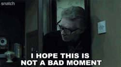 Snatch Movie Dennis Farina Bad Moment GIF