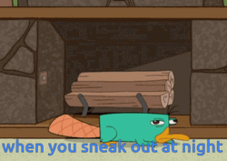 Sneak Out Perry The Platypus GIF