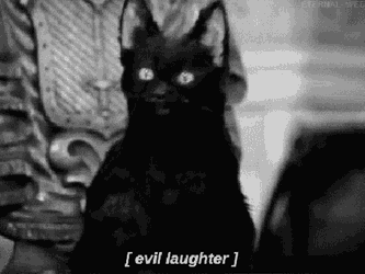 Sneakyvi Salem GIF