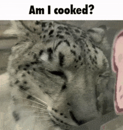 Snep Am I Cooked GIF