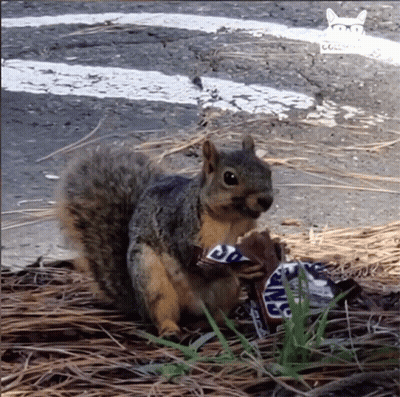 Snickers Ad Man In Helmet GIF