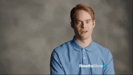 Snl Rosetta Stone GIF