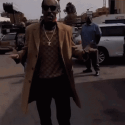 Snoop Dogg Dance Move On Street  GIF