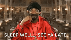 Snoop Dogg Sleep Well See Ya Late GIF