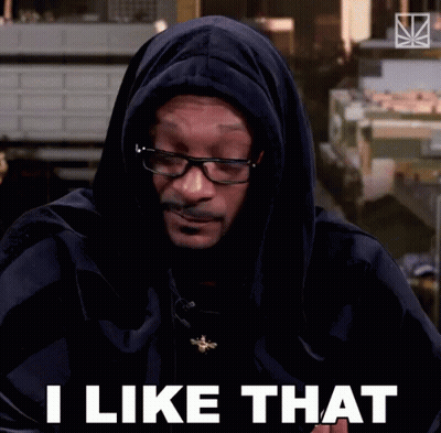 Snoop Dogg Wearing Hoodie And Glasses GIF