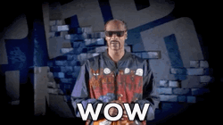 Snoop Dogg Wow GIF