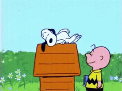 Snoopy And Charlie Brown Are Standing Next To A Doghouse GIF