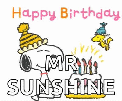 Snoopy And Woodstock Are Celebrating A Birthday With A Cake And Candles GIF