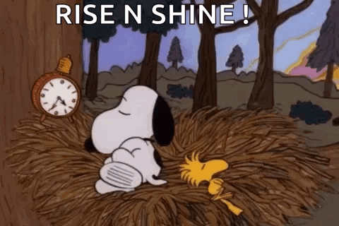 Snoopy And Woodstock Are Laying In A Pile Of Hay In The Woods . GIF