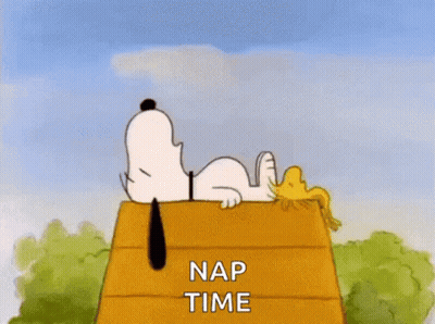 Snoopy And Woodstock Are Laying On Top Of A Wooden House With The Words `` Nap Time '' Written On It . GIF