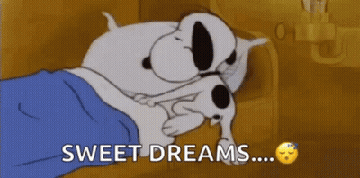 Snoopy And Woodstock Are Sleeping In A Bed With The Words `` Sweet Dreams '' Written Next To Them . GIF