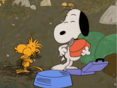 Snoopy And Woodstock Are Standing Next To Each Other In A Cartoon GIF
