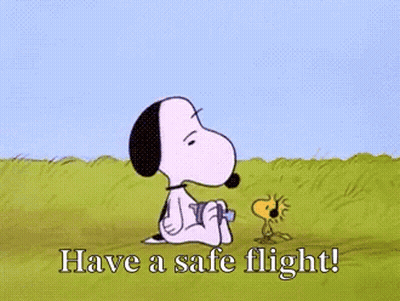 Snoopy And Woodstock Have A Safe Flight GIF