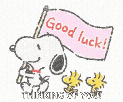 Snoopy And Woodstock Holding Good Luck Flag GIF