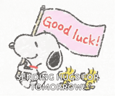 Snoopy And Woodstock Holding Good Luck Sending Hugs Flag GIF