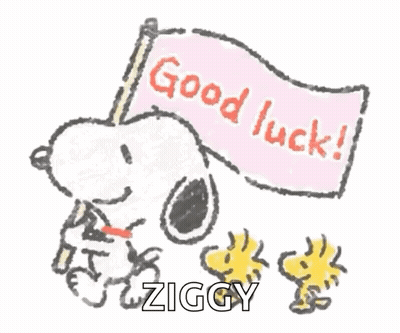 Snoopy And Woodstock Holding Good Luck Ziggy Flag GIF
