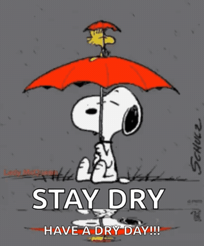 Snoopy And Woodstock Holding Orange Umbrella GIF