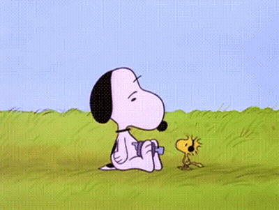 Snoopy And Woodstock In Field With Helicopter GIF