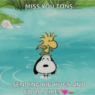 Snoopy And Woodstock In Water Miss You Tons GIF