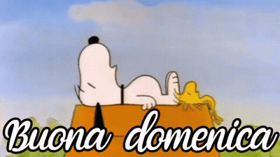 Snoopy And Woodstock Laying On Box Buona Domenica GIF