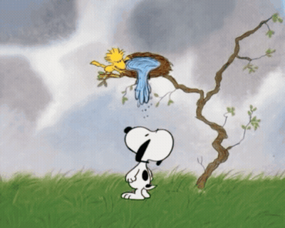 Snoopy And Woodstock Looking At Bird Nest GIF