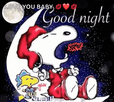 Snoopy And Woodstock On Crescent Moon Good Night GIF