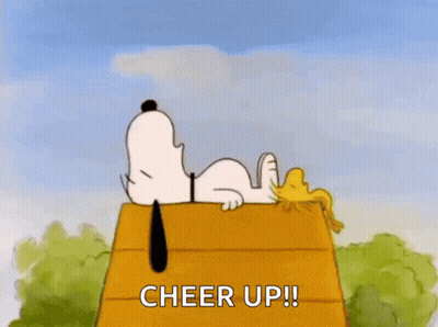 Snoopy And Woodstock On Wooden House Cheer Up GIF