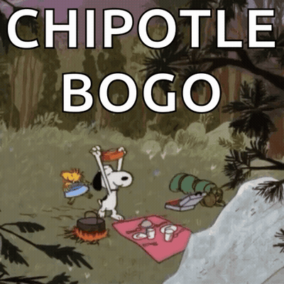 Snoopy And Woodstock Picnic Chipotle Bogo GIF