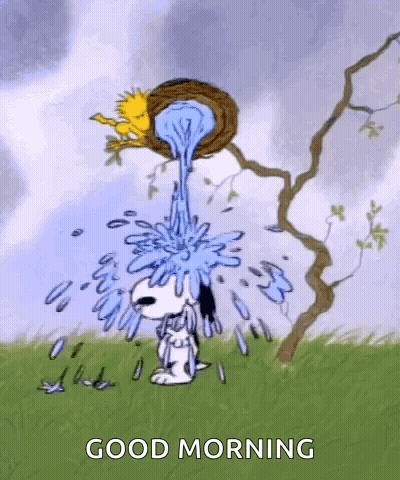 Snoopy And Woodstock Pouring Water From Bird Nest GIF