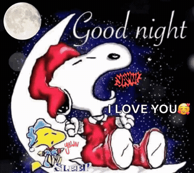Snoopy And Woodstock Saying Good Night GIF