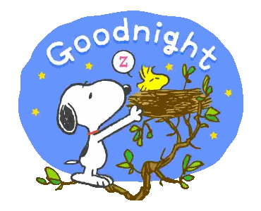 Snoopy And Woodstock Saying Goodnight Sticker