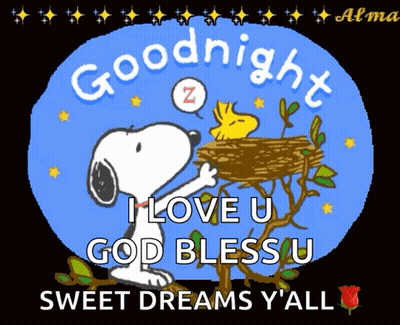 Snoopy And Woodstock Saying Goodnight I Love U God Bless U Sweet Dreams Y'all GIF