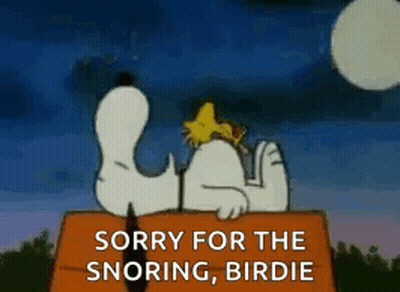 Snoopy And Woodstock Sleeping In A Box At Night GIF