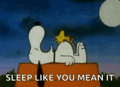 Snoopy And Woodstock Sleeping On Roof GIF