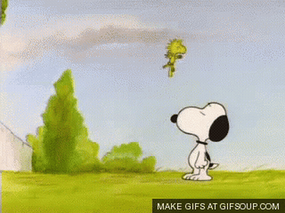 Snoopy And Woodstock Standing In Grassy Field GIF