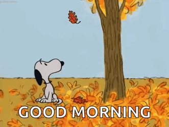 Snoopy Fall GIF