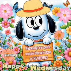 Snoopy Happy Wednesday GIF