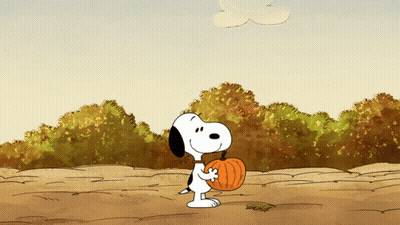Snoopy Holding Orange Pumpkin In Field GIF