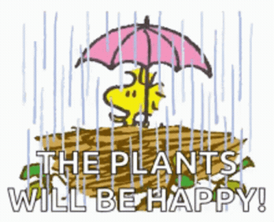Snoopy Holding Umbrella Over Dirt GIF