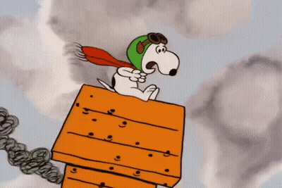 Snoopy in Green Hat and Goggles on Wooden Box