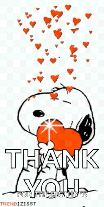 Snoopy Is Holding A Heart In His Mouth And Hearts Are Falling Out Of His Mouth . GIF