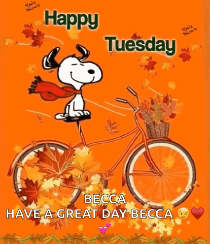 Snoopy Is Riding A Bicycle With A Basket Full Of Leaves On It . GIF