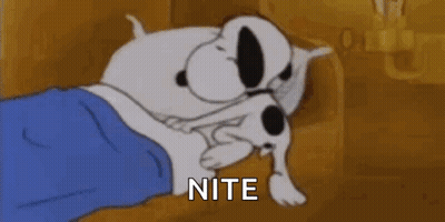 Snoopy Is Sleeping In A Bed With A Pillow And A Blanket . GIF