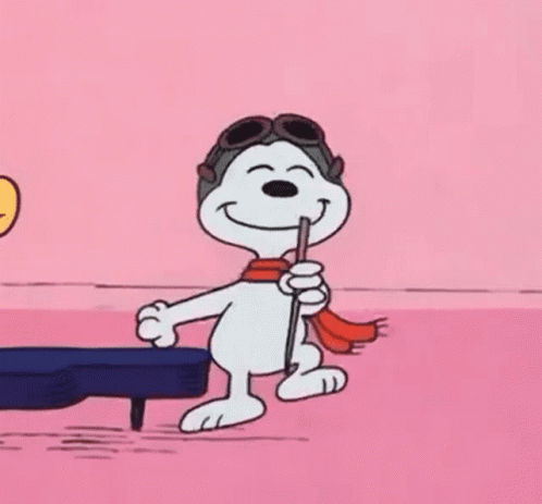 Snoopy Is Wearing A Helmet And Goggles While Holding A Wheel . GIF