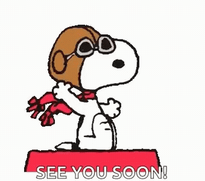 Snoopy Is Wearing A Pilot 'S Hat And Scarf And Is Sitting On A Red Box . GIF