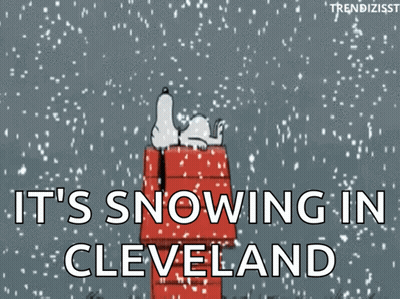 Snoopy Laying Doghouse Saying It's Snowing In Cleveland GIF