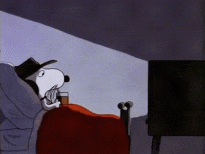 Snoopy Laying In Bed With Beer GIF
