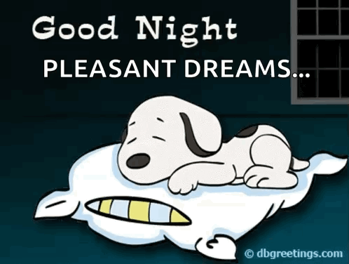 Snoopy Laying On A Pillow With The Words Good Night Pleasant Dreams GIF